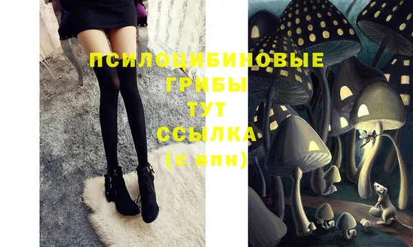 не бодяженный Нефтекумск